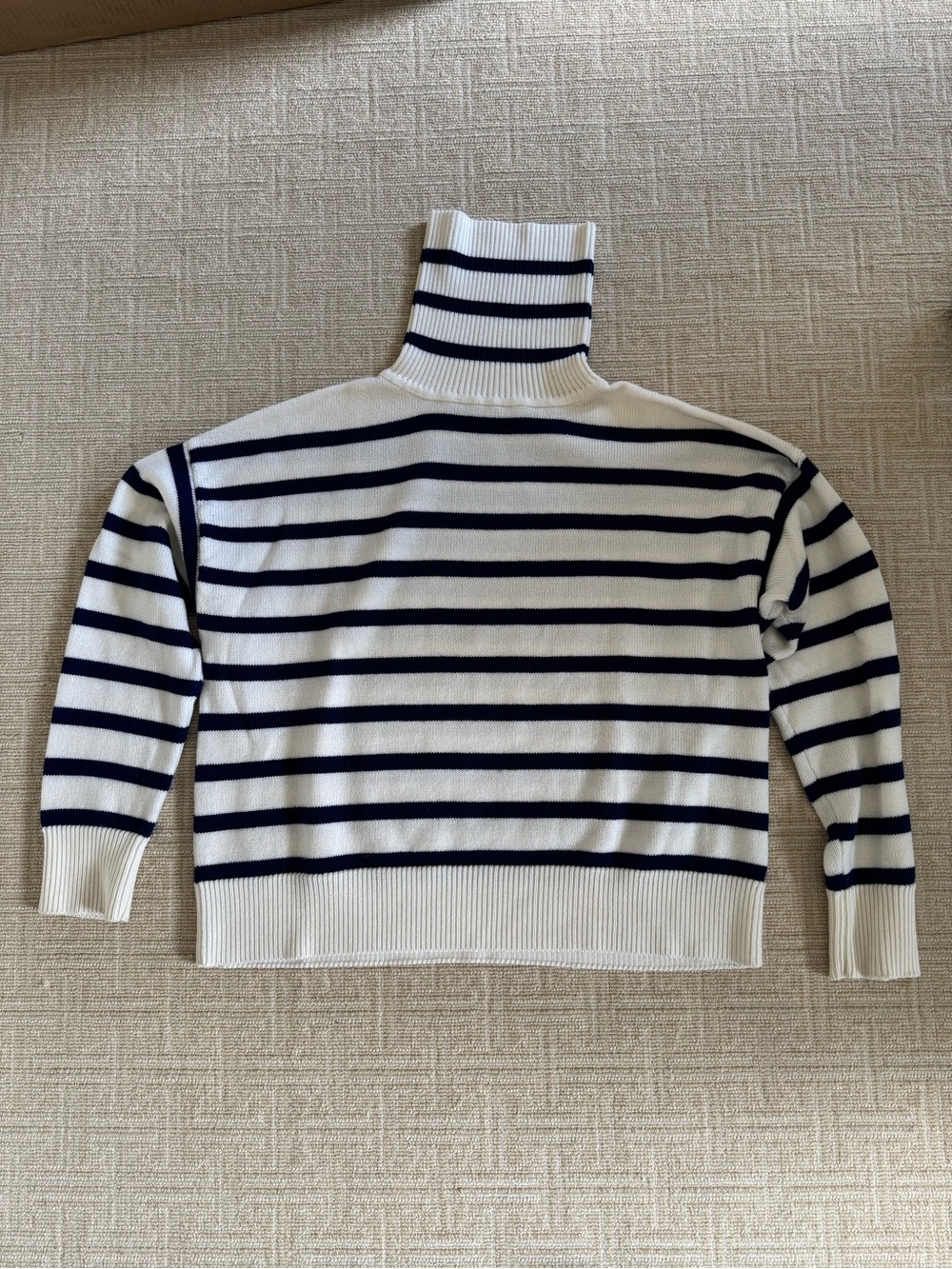 Molly Moorkamp Striped Turtleneck Sweater - White and Navy